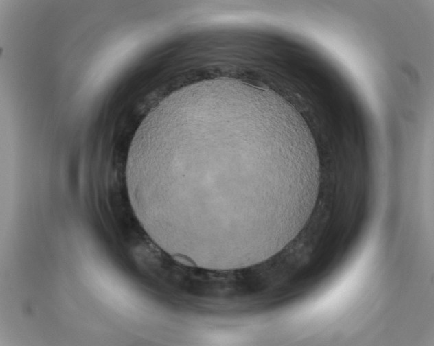 X0000111020382200907022204