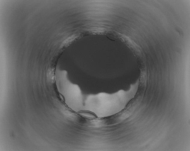 X0000111020383200907022204