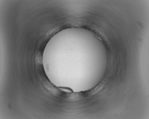 X0000111020384200907022204