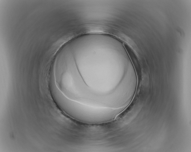 X0000111020385200907022203
