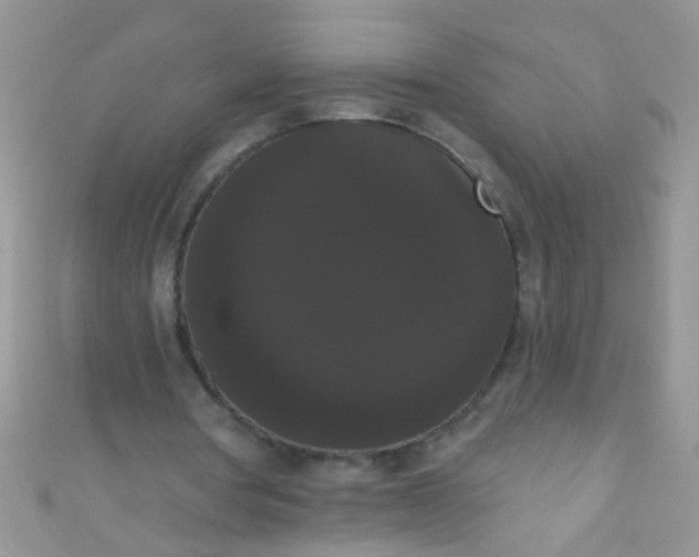 X0000111020386200907022203