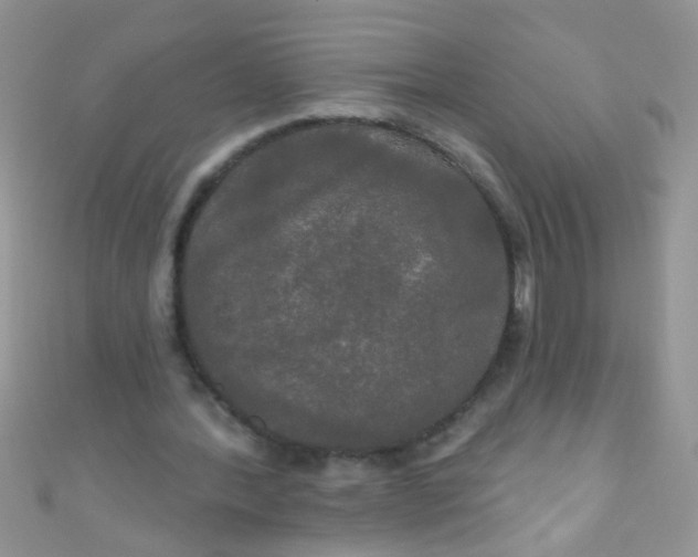X0000111020388200907022203