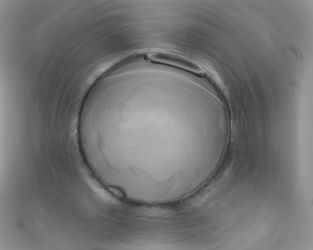 X0000111020389200907022203