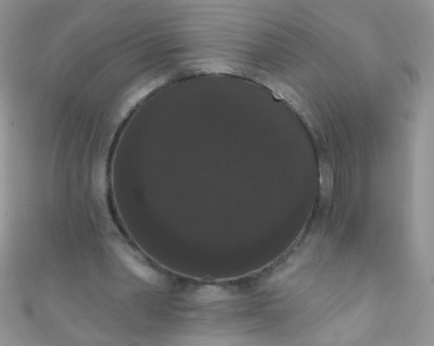 X0000111020390200907022203
