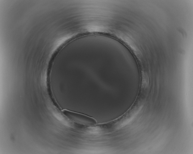X0000111020391200907022203