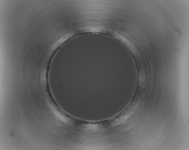 X0000111020394200907022203