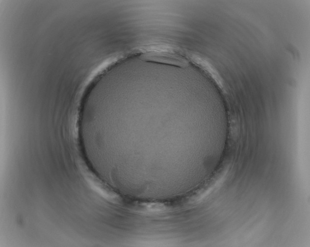 X0000111020395200907022203