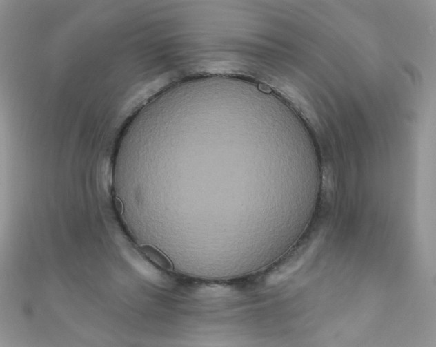 X0000111020397200907022203