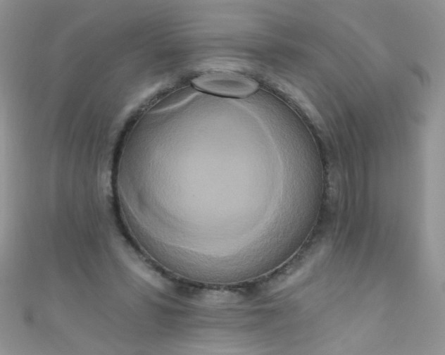 X0000111020399200907022203