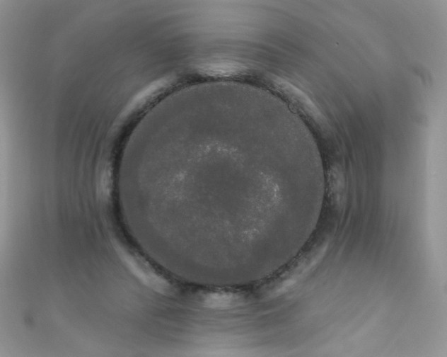 X0000111020400200907022203
