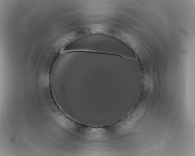 X0000111020401200907022203