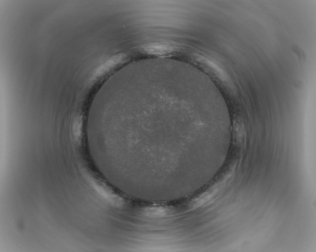 X0000111020404200907022203