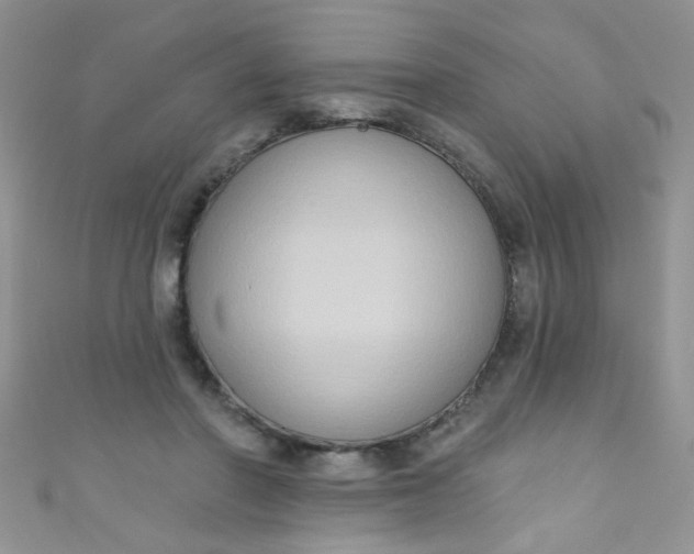X0000111020406200907022203