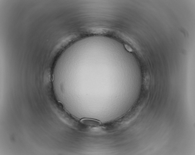 X0000111020407200907022203