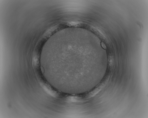 X0000111020408200907022203