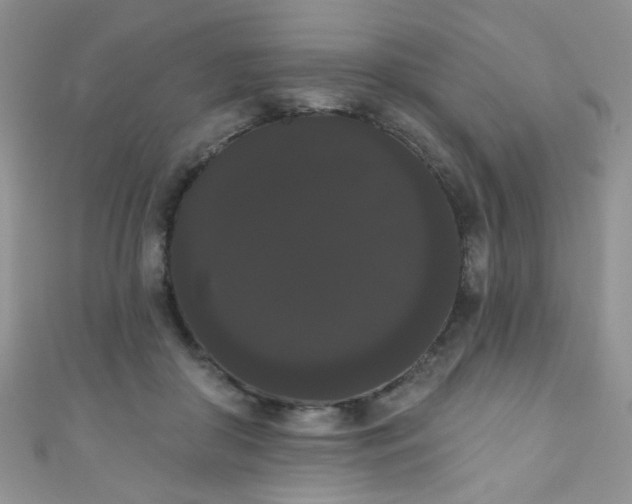 X0000111020410200907022203