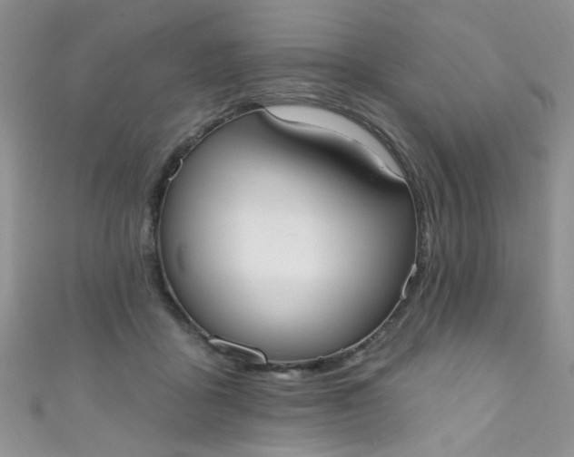 X0000111020411200907022203