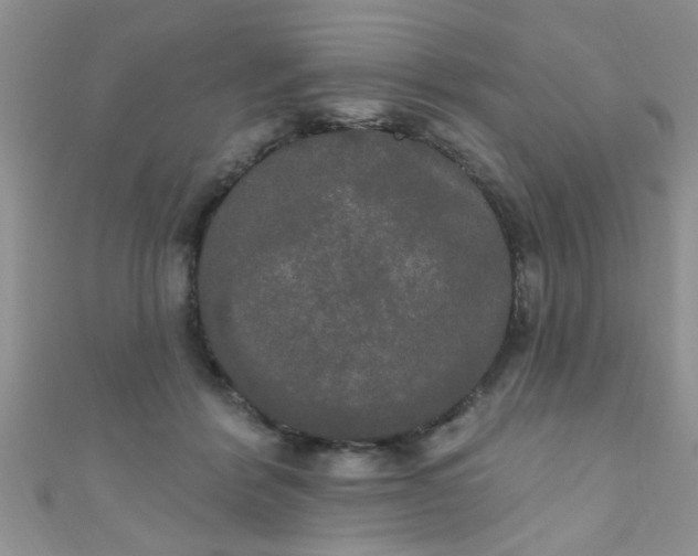 X0000111020412200907022203