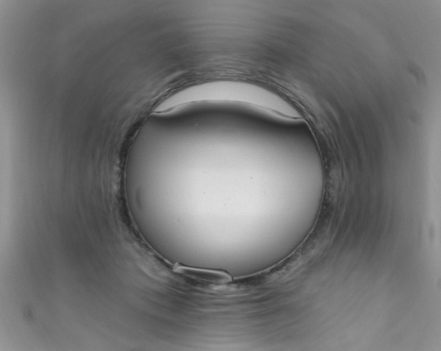X0000111020413200907022203
