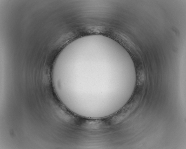 X0000111020414200907022203