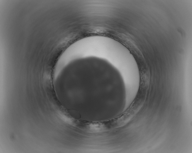 X0000111020415200907022203