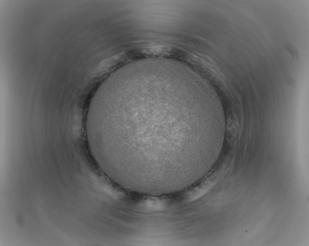 X0000111020416200907022203