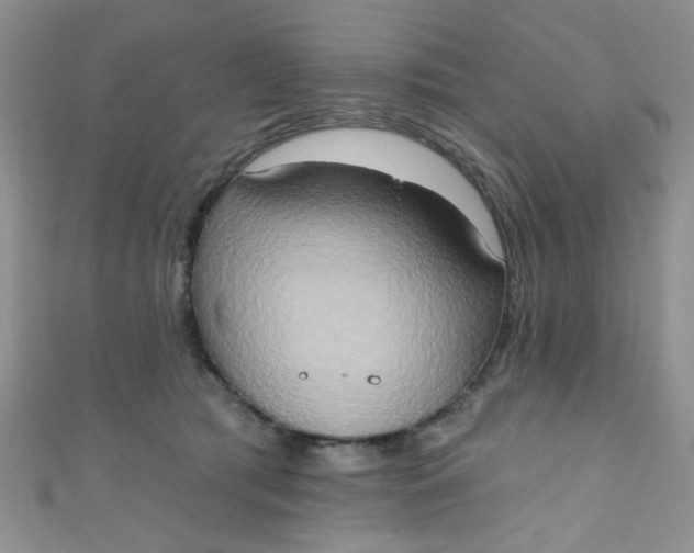 X0000111020417200907022202