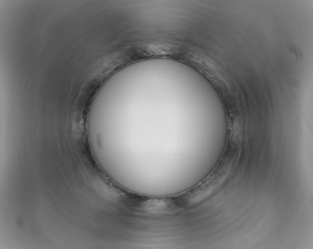 X0000111020418200907022202