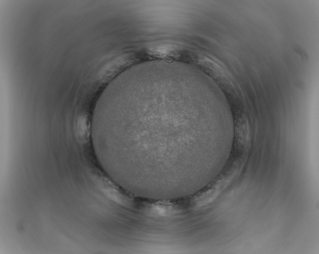 X0000111020420200907022202