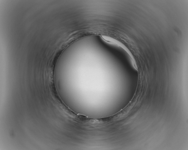 X0000111020421200907022202