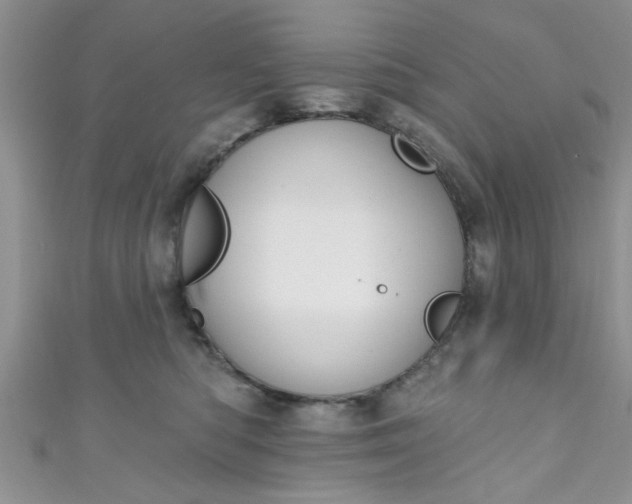 X0000111020422200907022202