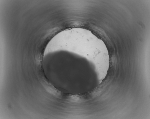 X0000111020423200907022202