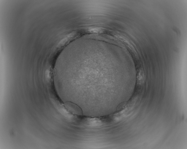 X0000111020424200907022202