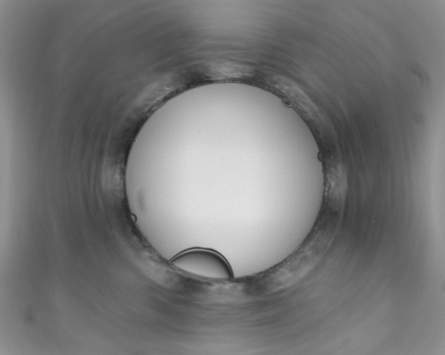 X0000111020426200907022202