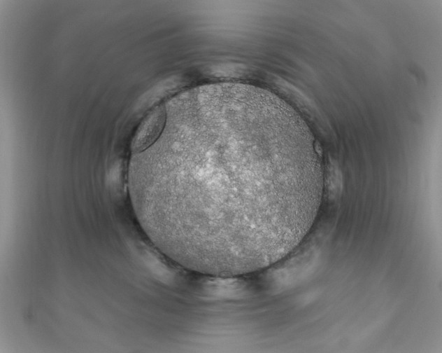 X0000111020428200907022202