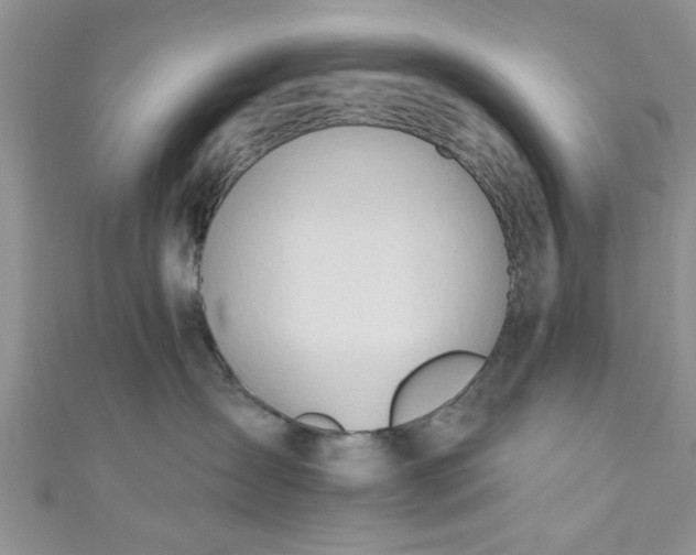 X0000111020431200907022202