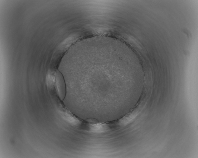 X0000111020432200907022202