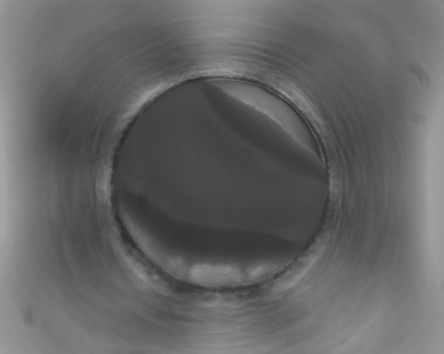 X0000111020434200907022202