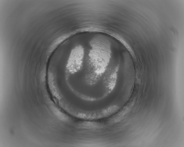 X0000111020437200907022202