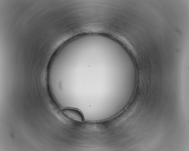 X0000111020439200907022202