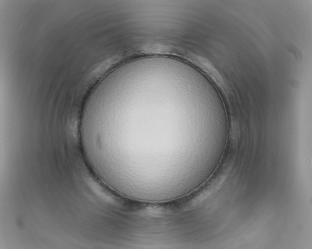 X0000111020441200907022202
