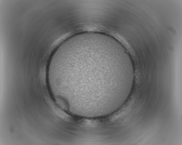X0000111020442200907022202