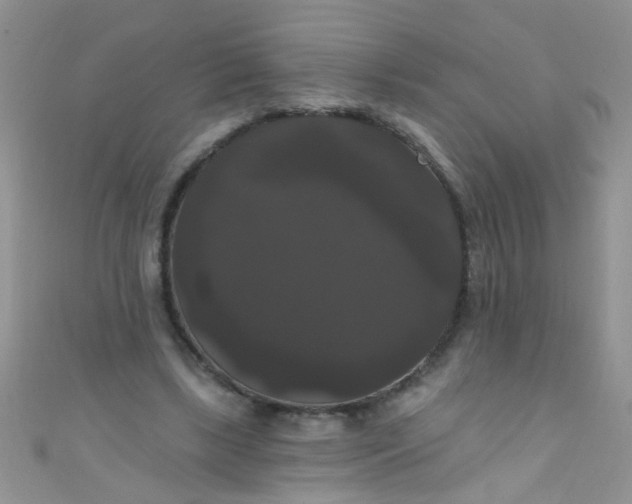 X0000111020443200907022202