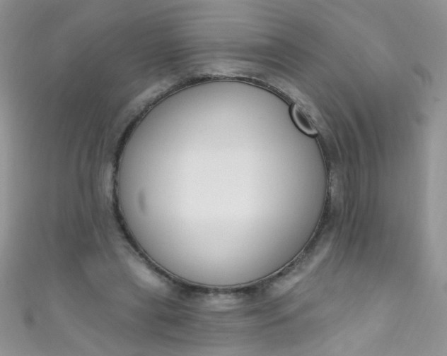 X0000111020445200907022202