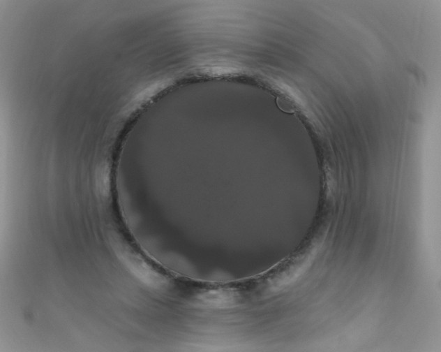 X0000111020447200907022202
