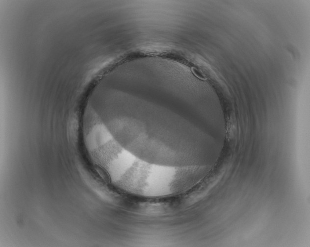 X0000111020448200907022202