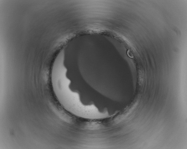 X0000111020451200907022202