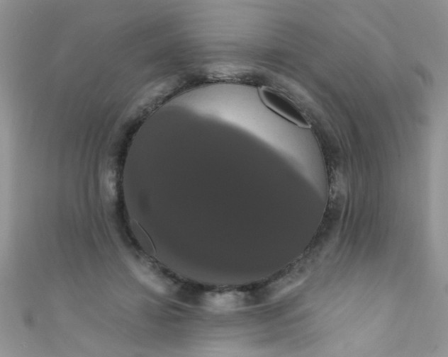 X0000111020452200907022202