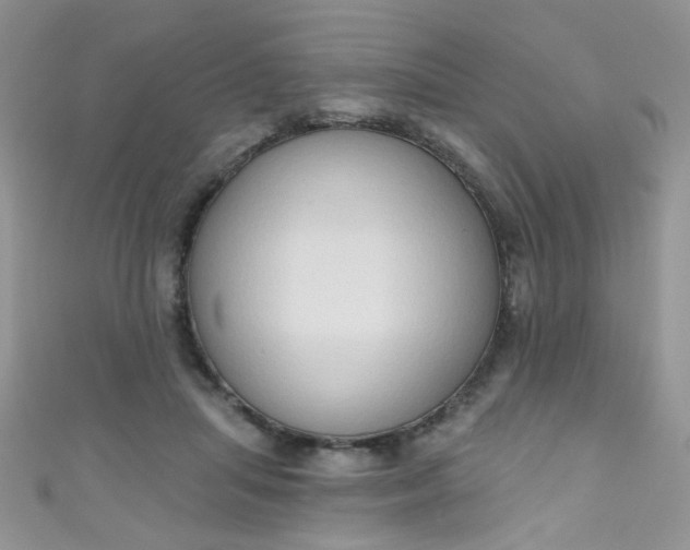 X0000111020455200907022202