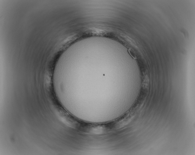 X0000111020456200907022202